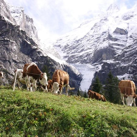 Firstsunne Daire Grindelwald Dış mekan fotoğraf